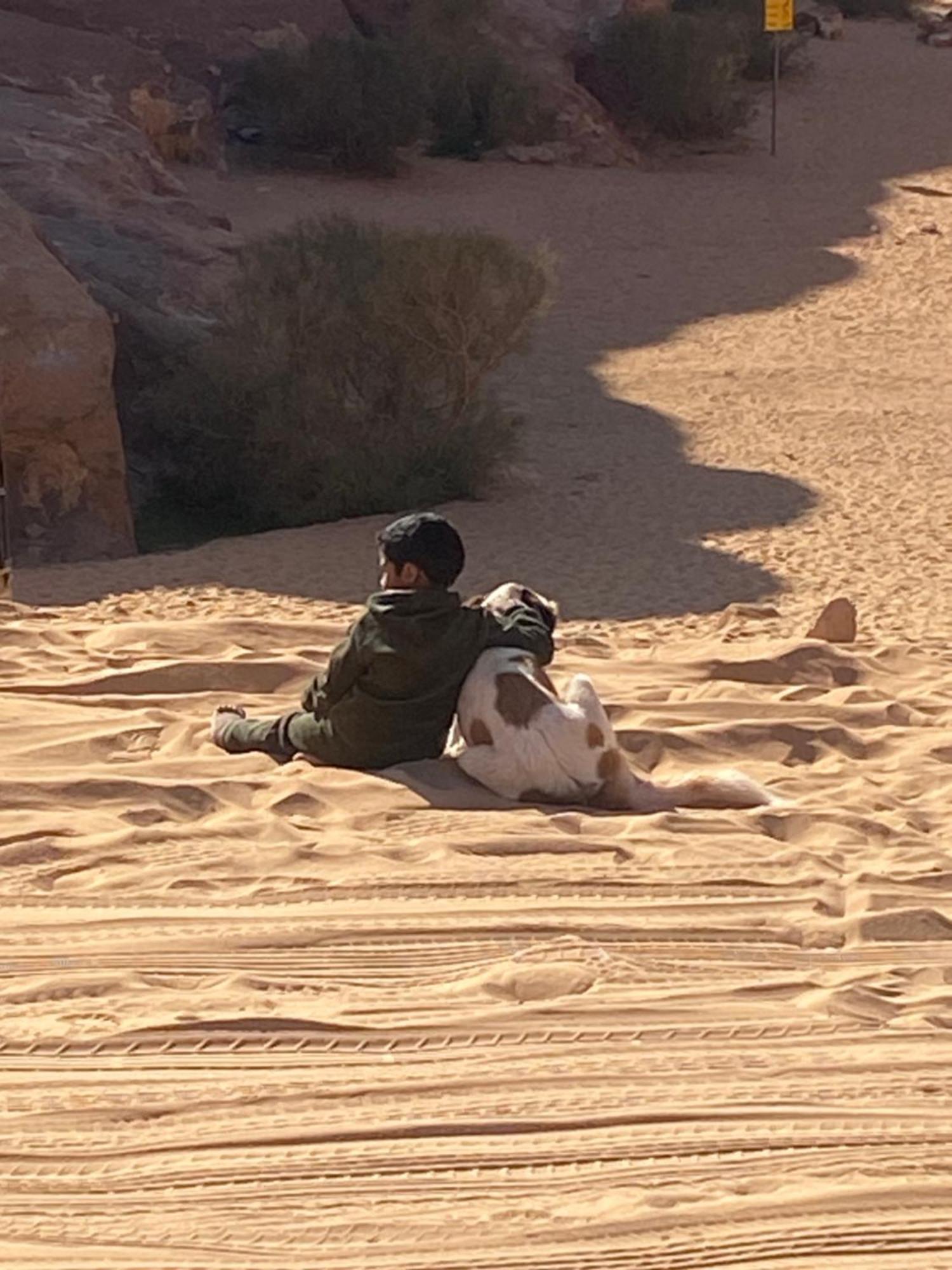 Wadi Rum Bedouin Heart Camp Exterior photo